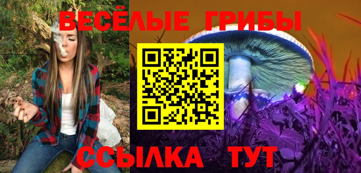 Псилоцибиновые грибы Cubensis  Вход с VPN  Екатеринбург 